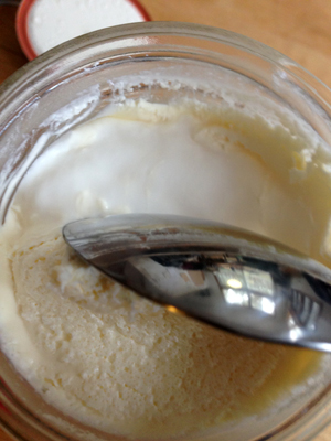 Lfudrawmilkyogurtfatscoop