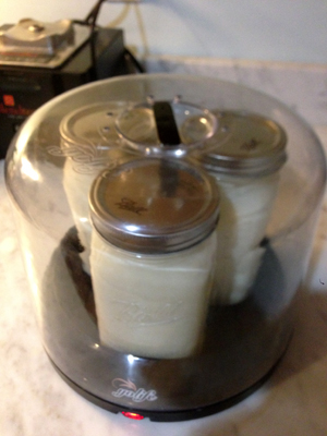 Lfudrawmilkyogurtmaker