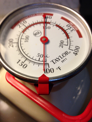 Lfudrawmilkyogurttemp